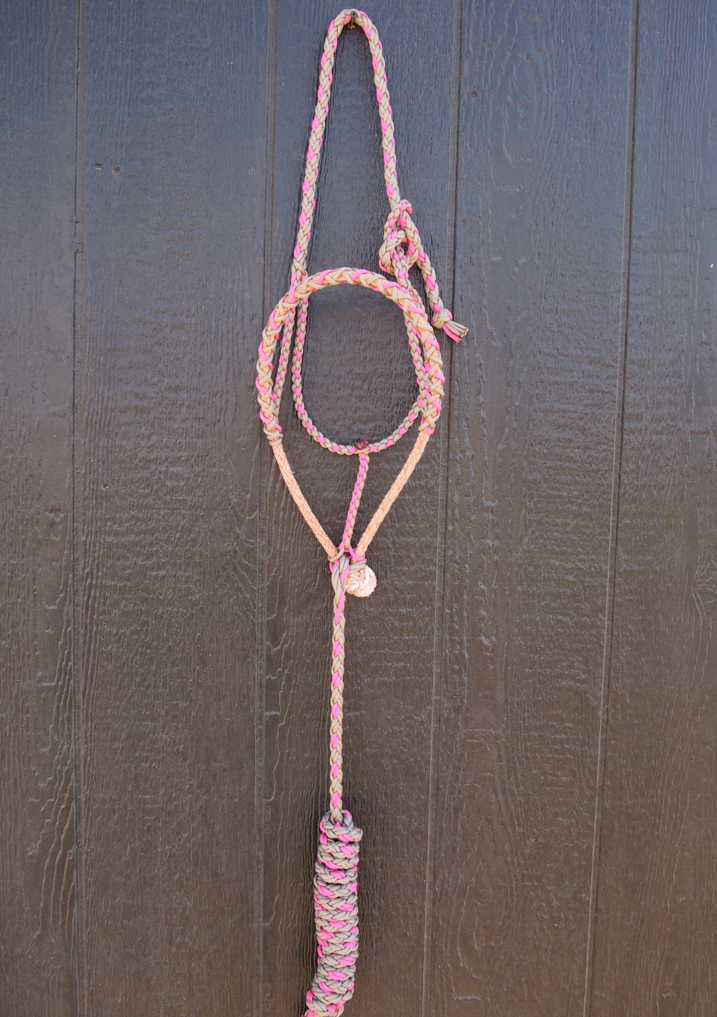 Pink / Brown Halter