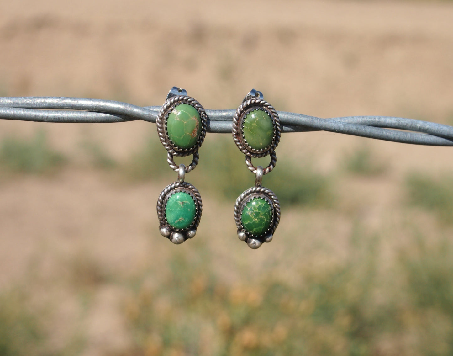 Sonoran Drop Stone Earrings