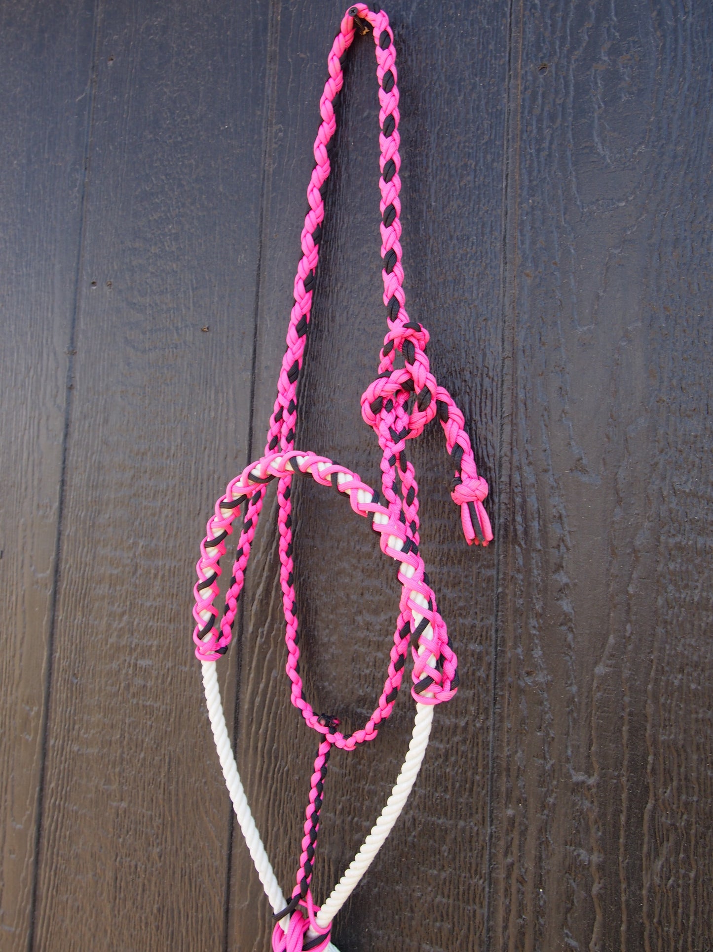 Pink / Black Halter