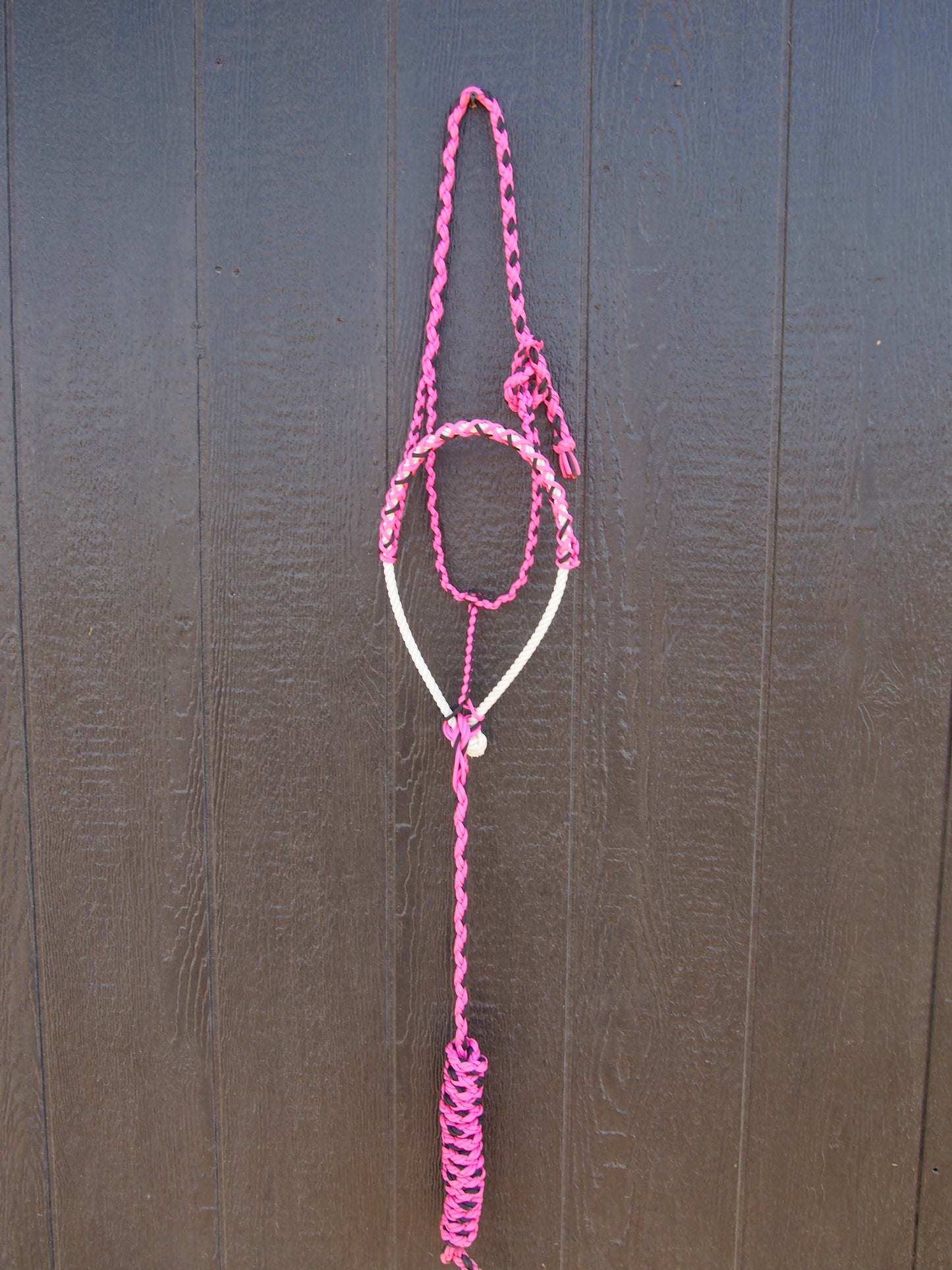 Pink / Black Halter