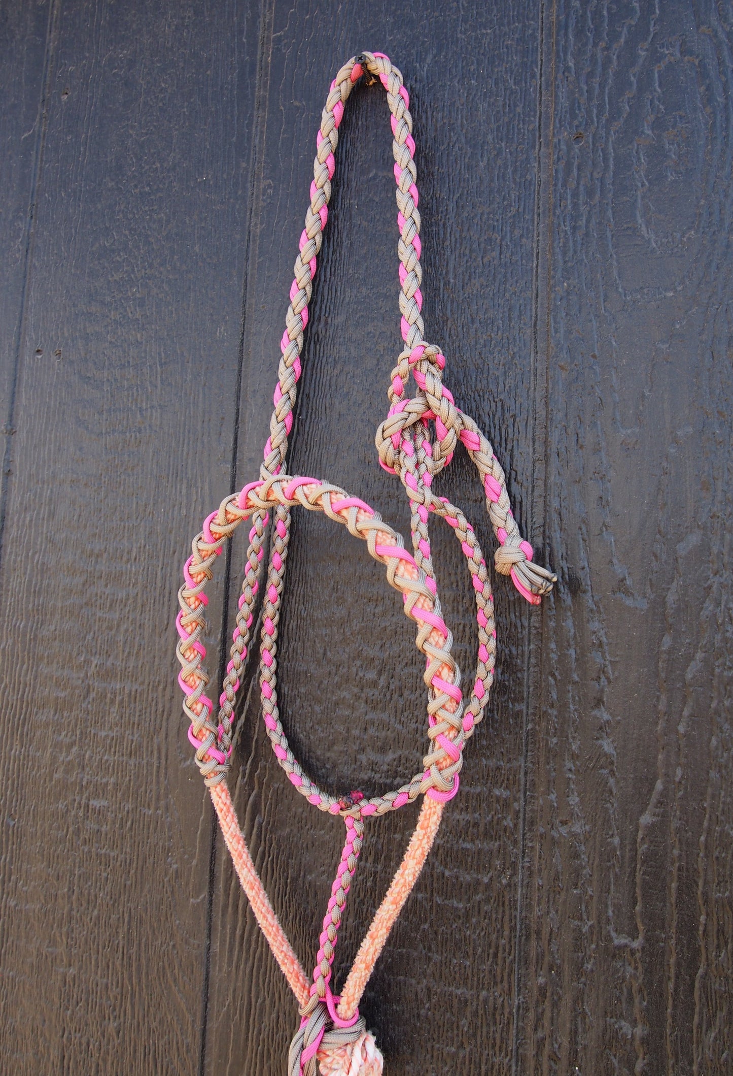 Pink / Brown Halter